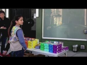 Niña Scout vende galletas 01