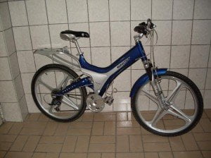 zigmaz-giant de prodigy