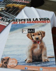Grito Animal