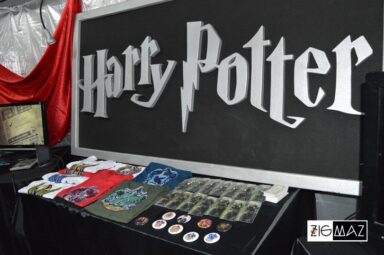Expo Game Fest 2015 05
