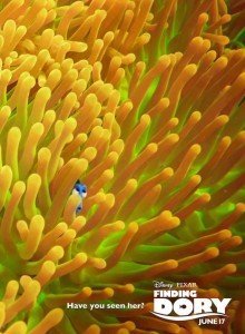 zigmaz-dory2