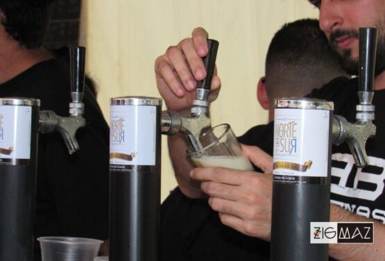 cerveceria norte del sur - beervana craft beer picnic centro san ignacio 01