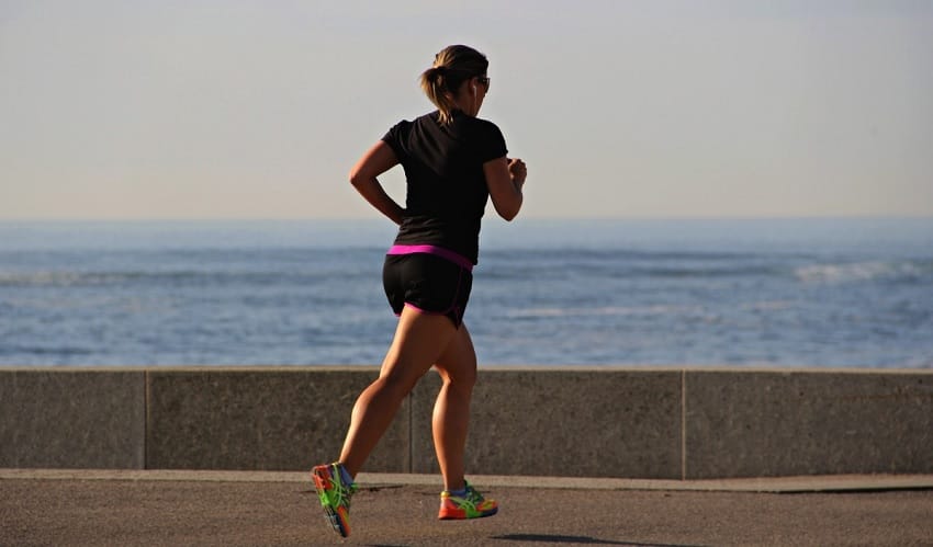 Zigmaz metas Fitness