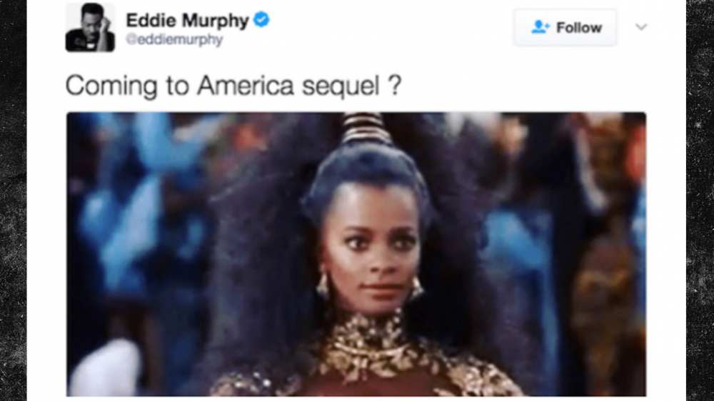 zigmaz - coming to america 2