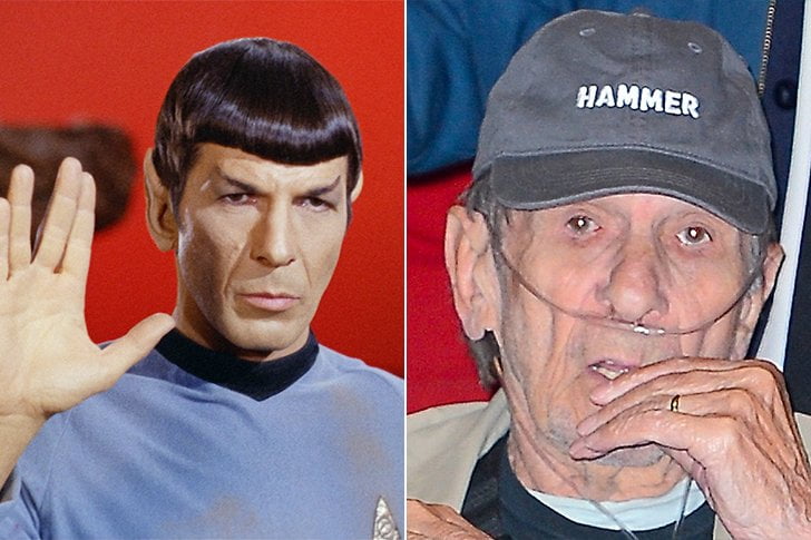 zigmaz-leonard-nimoy 0011