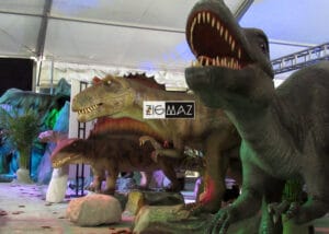 Jurassic Land Tierra de Dinosaurios 04 - Zigmaz