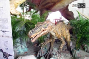 Jurassic Land Tierra de Dinosaurios 06 - Zigmaz