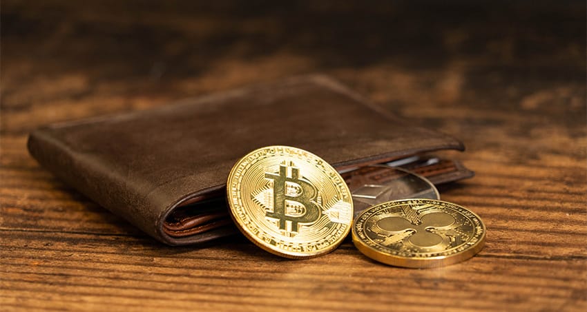 Zigmaz-Criptomonedas criptowallet