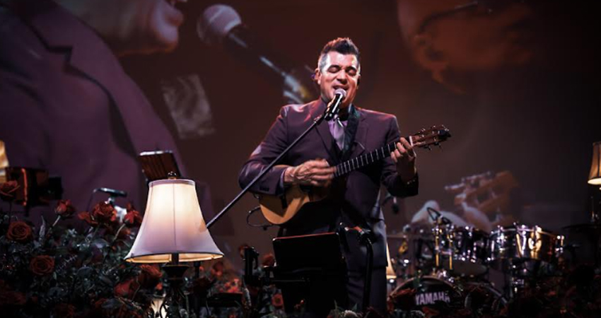 Zigmaz-Pollo Brito Usted sí es bonita