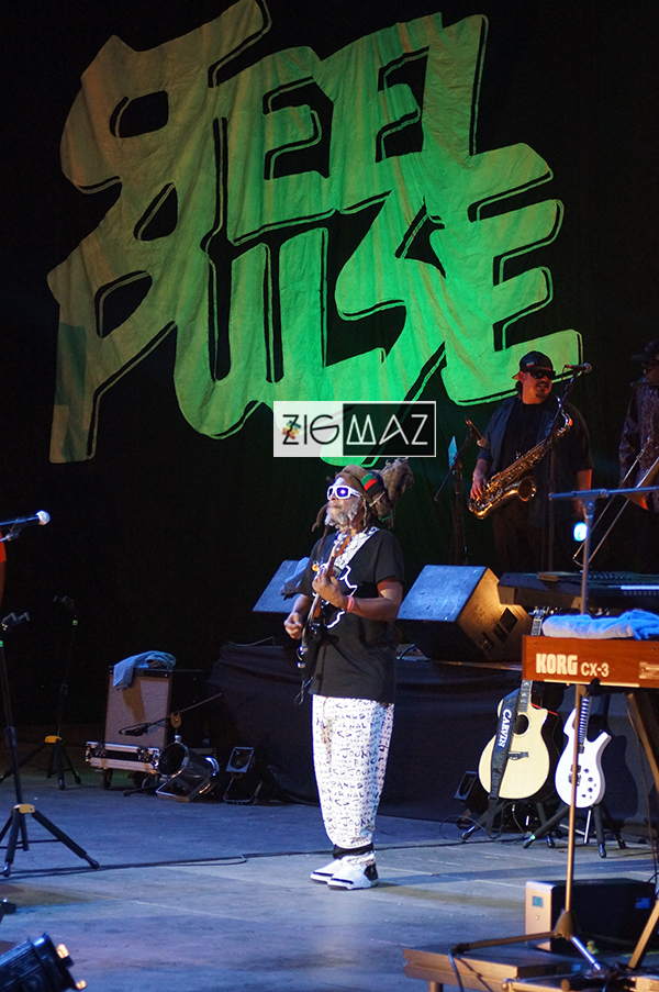 Zigmaz-Steel Pulse Venezuela 2024 02