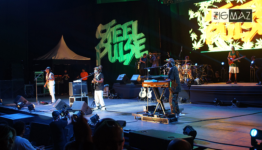 Zigmaz-Steel Pulse Venezuela 2024 03