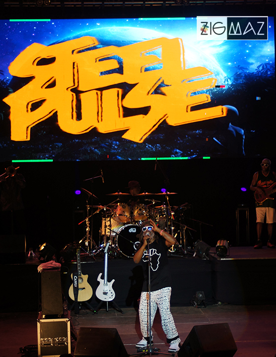 Zigmaz-Steel Pulse Venezuela 2024 10
