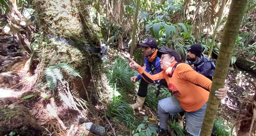 Dantas en el avila 01-Zigmaz