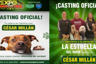 Expo Mascotas 2026 Cesar Millan casting