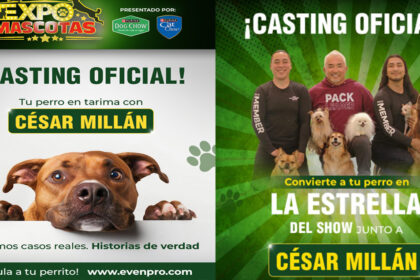 Expo Mascotas 2026 Cesar Millan casting