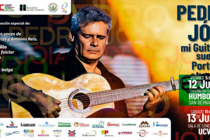 Pedro Joia guitarrista