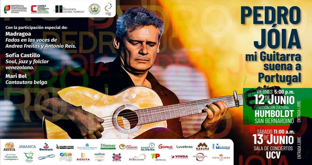 Pedro Joia guitarrista